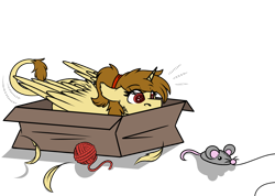 Size: 1152x821 | Tagged: safe, alternate character, alternate version, artist:rokosmith26, part of a set, oc, oc only, oc:katya ironstead, mouse, sphinx, bait, behaving like a cat, box, commission, eyes on the prize, feather, female, floppy ears, hairband, horn, if i fits i sits, imminent pounce, looking at something, lying down, mouse toy, part of a series, plushie, ponytail, simple background, solo, sphinx oc, string, tail, toy, transparent background, wings, yarn, yarn ball, ych result