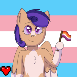 Size: 1000x1000 | Tagged: safe, artist:fruiitypieq, artist:shycookieq, oc, oc only, pegasus, pony, bust, commission, female, flag, heart, holding a flag, hoof hold, lesbian pride flag, mare, pegasus oc, pride, pride flag, smiling, solo, transgender pride flag, two toned wings, wings, ych result