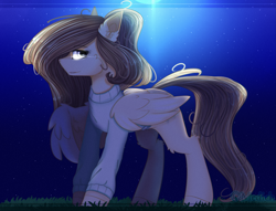 Size: 2805x2138 | Tagged: safe, artist:mediasmile666, oc, oc only, pegasus, pony, clothes, female, glowing eyes, grass, high res, mare, night, night sky, pegasus oc, profile, sky, solo, standing, sweater