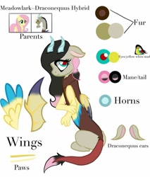 Size: 1078x1263 | Tagged: safe, artist:cocolove2176, discord, fluttershy, oc, draconequus, hybrid, pegasus, pony, g4, abstract background, blushing, draconequus oc, female, interspecies offspring, male, mare, offspring, parent:discord, parent:fluttershy, parents:discoshy, reference sheet