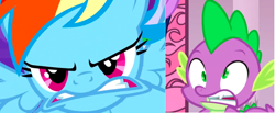 Size: 1190x489 | Tagged: safe, rainbow dash, spike, g4, princess twilight sparkle (episode), pony life vibes