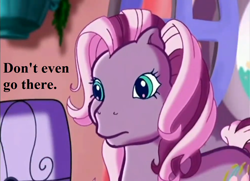Size: 970x701 | Tagged: safe, edit, edited screencap, editor:korora, screencap, wysteria, earth pony, pony, g3, the princess promenade, concerned, reaction image, speech, talking, teal eyes, text, unamused, window, wysteria is not amused