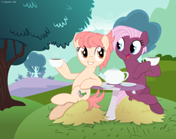 Size: 9609x7611 | Tagged: safe, artist:starcollider, jasmine leaf, raspberry vinaigrette, earth pony, pony, g4, absurd resolution, base used, cup, duo, female, food, hay, hoof hold, looking at each other, mare, missing accessory, mushroom table, open mouth, open smile, show accurate, smiling, tea, teacup, teapot, tree, vector