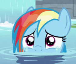 Size: 413x346 | Tagged: safe, screencap, rainbow dash, pegasus, pony, deep tissue memories, spoiler:deep tissue memories, spoiler:mlp friendship is forever, animated, cropped, crying, cute, daaaaaaaaaaaw, dashabetes, dhx is trying to murder us, female, gif, hnnng, mare, ponyville spa, sad, sadorable, solo, spa, teary eyes, water, wet, wet mane, wet mane rainbow dash, wiping tears