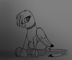 Size: 2400x2000 | Tagged: safe, artist:somber, gabby, griffon, g4, choker, clothes, edgy, female, goth, high res, sitting, sketch, solo