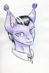 Size: 2009x2986 | Tagged: safe, artist:cindertale, oc, oc only, bat pony, pony, bat pony oc, bust, clothes, high res, male, solo, stallion, traditional art