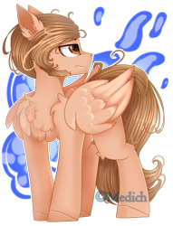 Size: 1685x2205 | Tagged: safe, artist:mediasmile666, oc, oc only, pegasus, pony, abstract background, chest fluff, male, solo, stallion