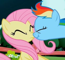 Size: 386x357 | Tagged: safe, screencap, fluttershy, rainbow dash, pegasus, pony, g4, may the best pet win, season 2, boop, close-up, cropped, duo, eyes closed, female, mare, nose to nose, noseboop, out of context, scrunchy face