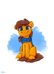 Size: 885x1217 | Tagged: safe, artist:thefloatingtree, oc, oc only, earth pony, pony, clothes, scarf, smiling, solo