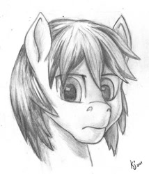 Size: 600x701 | Tagged: safe, artist:tauts05, oc, oc only, pony, bust, male, monochrome, portrait, solo, stallion