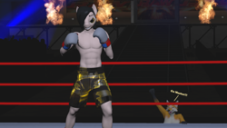 Size: 2560x1440 | Tagged: safe, artist:mr-wolfapex, oc, oc only, oc:kurt marek (electro-crit), dog, anthro, 3d, abs, boxing, clothes, furry, furry oc, hair over one eye, muscles, partial nudity, sports, topless, wwe