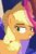 Size: 276x418 | Tagged: safe, screencap, applejack, earth pony, pony, g4, season 8, sounds of silence, animated, cropped, cute, female, gif, implied twilight sparkle, jackabetes, lidded eyes, mare, offscreen character, one eye closed, smiling, solo, wink