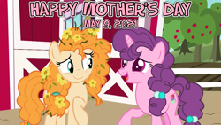Size: 2063x1161 | Tagged: safe, artist:not-yet-a-brony, pear butter, sugar belle, earth pony, pony, unicorn, g4, 2021, barn, embarrassed, heartwarming, if only, messy mane, mother and daughter-in-law, mother's day, oops, sweet apple acres, sweet dreams fuel