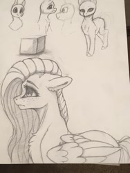 Size: 768x1024 | Tagged: safe, artist:miokomata, fluttershy, pegasus, pony, g4, cute, female, freckles, freckleshy, grayscale, mare, monochrome, pencil drawing, photo, shyabetes, sketch, solo, traditional art