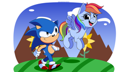 Size: 3200x1800 | Tagged: safe, artist:alexsc112, rainbow dash, hedgehog, pegasus, pony, g4, crossover, duo, eyebrows, eyebrows visible through hair, female, high res, looking at each other, male, mare, open mouth, open smile, smiling, smiling at each other, sonic the hedgehog, sonic the hedgehog (series)