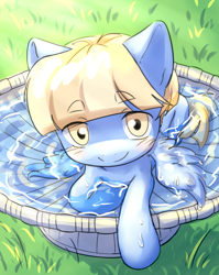 Size: 3120x3921 | Tagged: safe, artist:aquoquoo, water spout, pegasus, pony, g4, bird bath, birds doing bird things, bishounen, colt, feathered wings, friendship student, high res, looking at you, male, solo, spread wings, water, wings