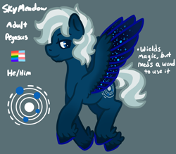 Size: 1600x1400 | Tagged: safe, artist:visionarybuffoon, oc, oc only, oc:skymeadow, pegasus, pony, ethereal wings, feathered wings, gay pride flag, male, ponysona, pride, pride flag, reference sheet, solo, spread wings, transgender, transgender pride flag, wings