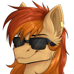 Size: 2500x2500 | Tagged: safe, artist:lionbun, oc, oc:thunder twirl, pony, bust, commission, female, high res, icon, mare, portrait, sunglasses