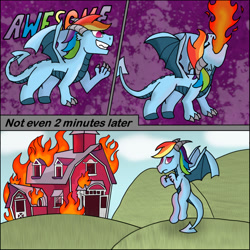 Size: 1280x1280 | Tagged: safe, artist:zeccy, rainbow dash, dracony, dragon, hybrid, g4, barn, comic, dragoness, dragonified, female, fire, fire breath, guilty, rainbow dragon, solo, species swap, this will end in angry countryisms