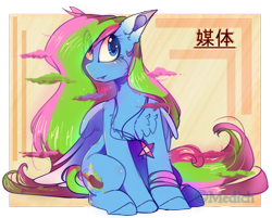 Size: 2730x2196 | Tagged: safe, artist:mediasmile666, oc, oc only, oc:media smile, pegasus, pony, abstract background, chest fluff, chinese, eye clipping through hair, female, high res, jewelry, mare, pegasus oc, pendant, sitting, smiling, solo