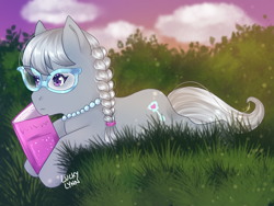 Size: 2048x1536 | Tagged: safe, artist:luckyxlynn, silver spoon, earth pony, pony, g4, book, female, filly, grass, reading, solo