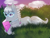 Size: 2048x1536 | Tagged: safe, artist:luckyxlynn, silver spoon, pony, g4, book, female, filly, grass, reading, solo