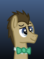 Size: 1200x1600 | Tagged: safe, artist:platinumdrop, doctor whooves, time turner, g4, bust, gradient background, male, portrait, request, simple background, stallion