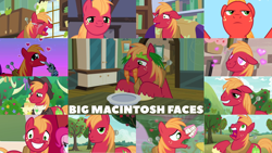 Size: 1280x721 | Tagged: safe, edit, edited screencap, editor:quoterific, screencap, big macintosh, pinkie pie, smarty pants, earth pony, pony, apple family reunion, brotherhooves social, filli vanilli, lesson zero, no second prances, season 2, season 3, season 4, season 5, season 6, season 8, season 9, the big mac question, the break up breakdown, the super speedy cider squeezy 6000, big macintosh is not amused, carrot, colored hooves, crying, cute, duo, eyes closed, female, floppy ears, food, grass, hat, heart eyes, lettuce, macabetes, male, mouth hold, night, offscreen character, open mouth, sad, screaming, solo focus, sweet apple acres, teeth, unamused, unshorn fetlocks, wavy mouth, yelling