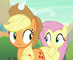 Size: 960x800 | Tagged: safe, screencap, applejack, fluttershy, earth pony, pegasus, pony, sounds of silence, applejack's hat, confused, cowboy hat, cropped, duo, duo female, female, hat, hiding, looking at each other, mare