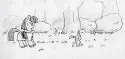 Size: 2521x1204 | Tagged: safe, artist:lost marbles, maud pie, earth pony, pony, rabbit, g4, animal, atg 2021, dirt road, grass, newbie artist training grounds, pencil drawing, traditional art