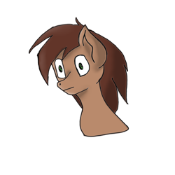 Size: 2048x2048 | Tagged: safe, artist:skylarpalette, oc, oc only, pony, bust, high res, old art, solo