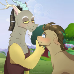Size: 1280x1280 | Tagged: safe, artist:primrosepaper, discord, doctor whooves, time turner, draconequus, earth pony, pony, g4, beard, blushing, cloud, crack shipping, facial hair, gay, grass, looking at each other, male, shipping, sky, stallion, tree, whoovescord