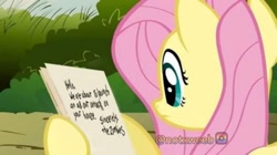 Size: 1283x720 | Tagged: safe, edit, edited screencap, editor:notxweeb, screencap, fluttershy, pegasus, pony, g4, putting your hoof down, female, fluttershy's letter, meme, message, note, paper, plants vs zombies, solo, watermark