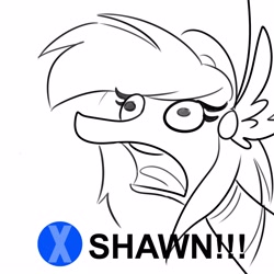 Size: 3000x3000 | Tagged: safe, artist:tjpones, oc, oc only, oc:athena (shawn keller), pegasus, pony, guardians of pondonia, black and white, bust, female, grayscale, heavy rain, high res, jason, mare, meme, monochrome, open mouth, partial color, pegasus oc, shawn, simple background, solo, white background, yelling