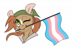 Size: 2220x1566 | Tagged: safe, artist:halley-valentine, oc, oc only, earth pony, pony, clothes, female, flag, hoodie, mouth hold, one eye closed, pride, pride flag, solo, transgender, transgender pride flag, wink
