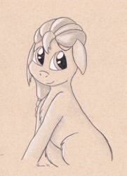 Size: 2965x4096 | Tagged: safe, artist:peruserofpieces, sunny starscout, earth pony, pony, g5, solo