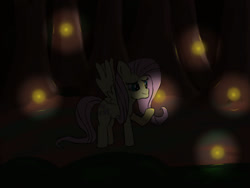 Size: 1024x768 | Tagged: safe, artist:paw-of-darkness, fluttershy, firefly (insect), insect, pegasus, pony, g4, darkness, newbie artist training grounds, solo