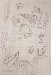 Size: 2611x3846 | Tagged: safe, artist:agdapl, hippogriff, bust, crossover, graph paper, high res, hippogriffied, lineart, male, medic, medic (tf2), signature, sketch, species swap, team fortress 2, traditional art