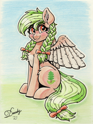Size: 2680x3568 | Tagged: safe, artist:dandy, oc, oc only, oc:sylvia evergreen, pegasus, pony, blushing, braided pigtails, chest fluff, colored pencil drawing, ear fluff, female, freckles, hair tie, high res, looking at you, pale belly, signature, sitting, smiling, solo, traditional art, two toned wings, white belly, wings