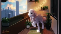 Size: 1920x1080 | Tagged: safe, artist:silentwulv, oc, oc only, pegasus, pony, balcony, city, pegasus oc, potted plant, solo, string lights, window