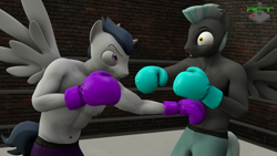 Size: 1920x1080 | Tagged: safe, artist:ray cyber tech, rumble, thunderlane, pegasus, anthro, g4, 3d, boxing, boxing gloves, boxing ring, boxing shorts, brothers, clothes, male, older, older rumble, partial nudity, punch, siblings, source filmmaker, sports, topless