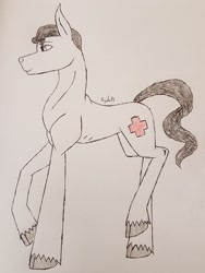 Size: 2545x3393 | Tagged: safe, artist:agdapl, earth pony, pony, cloven hooves, crossover, high res, male, medic, medic (tf2), ponified, raised hoof, signature, solo, species swap, stallion, team fortress 2, traditional art, unshorn fetlocks