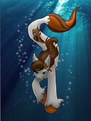Size: 1200x1600 | Tagged: safe, artist:flyershoe22, oc, oc only, seapony (g4), bubble, crepuscular rays, dorsal fin, fish tail, flowing mane, green eyes, looking down, ocean, solo, sunlight, swimming, tail, underwater, unshorn fetlocks, water