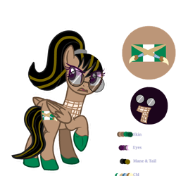 Size: 1280x1280 | Tagged: safe, artist:snowstorm9423cc, oc, oc only, oc:kamsey, pegasus, pony, clothes, female, glasses, mare, pegasus oc, ponysona, reference sheet, scarf, simple background, transparent background, vector