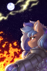 Size: 1584x2359 | Tagged: safe, artist:shinizavr, oc, oc only, oc:blueberry muffin, earth pony, pony, armor, commission, fire, moon, night, solo, stars, ych result