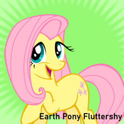 Size: 811x809 | Tagged: safe, fluttershy, earth pony, pony, derpibooru, g4, the return of harmony, earth pony fluttershy, meta, race swap, smiling, spoilered image joke