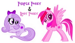 Size: 1230x720 | Tagged: safe, artist:lauren faust, edit, editor:pagiepoppie12345, oc, oc:purple posey, oc:rosy posey, pegasus, pony, bandana, bow, fantasy class, female, hair bow, headband, recolor, siblings, sisters, smiling, the power-up ponies, twins, warrior, wings