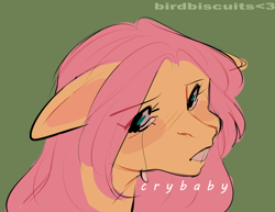 Size: 1000x773 | Tagged: safe, artist:birdbiscuits, fluttershy, pegasus, pony, g4, crying, eye clipping through hair, eyebrows, eyebrows visible through hair, female, looking at you, mare, solo