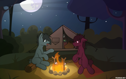 Size: 4000x2516 | Tagged: safe, artist:pegasko, oc, oc only, campfire, camping, food, forest, marshmallow, moon, night, stars, stick, tent, vector