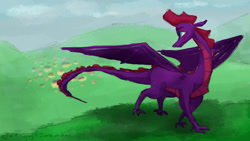 Size: 1280x720 | Tagged: safe, artist:kirbyliscious, tempest shadow, dragon, g4, dragoness, dragonified, female, looking back, solo, species swap